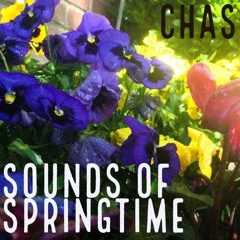 Sounds of Springtime instrumental(prod. by chas)