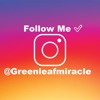 Greenleafmiracle Dirty Boy Download And Share This Mp3