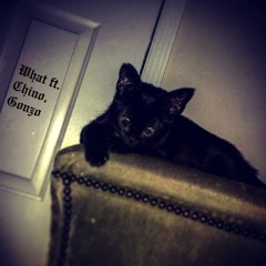 What ft. Chino, Gonzo