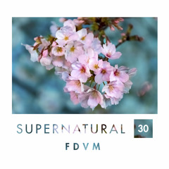 Supernatural 30 by FDVM