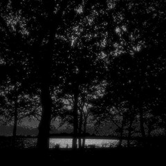 Evening Mists (revised mix)