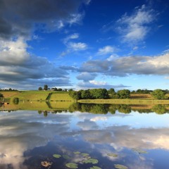 the landscape