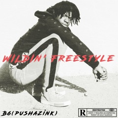 B6(Pushaz Ink) - Wildin' Freestyle