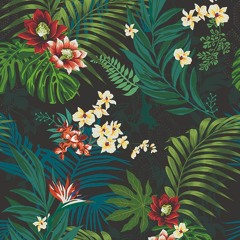 Meister Eder x. Wntd - Sol De Primavéra