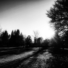 Everything Will Be Ok In The End - 005