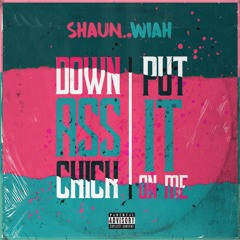 Ja Rule - Down A** Chick / Put It On Me (Cover by Shaun Wiah)
