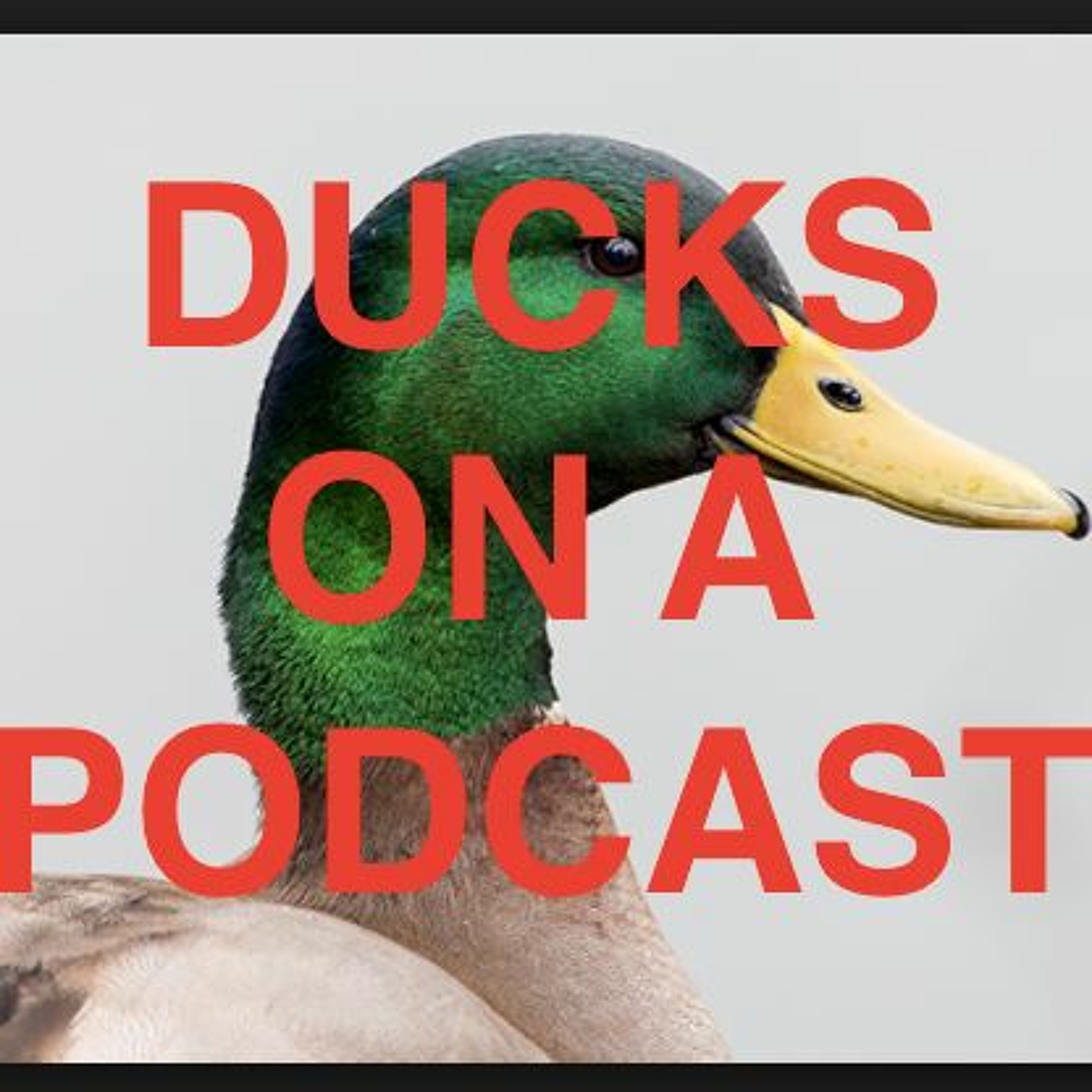 Ducks On A Podcast Ep 3 thumbnail