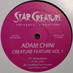 Adam Chini - Stimulation Ft. Saucy Lady (off Creature Feature Volume 1 - 12" EP)