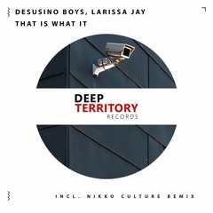 Desusino Boys & Larissa Jay - That Is What It (Nikko Culture Remix)