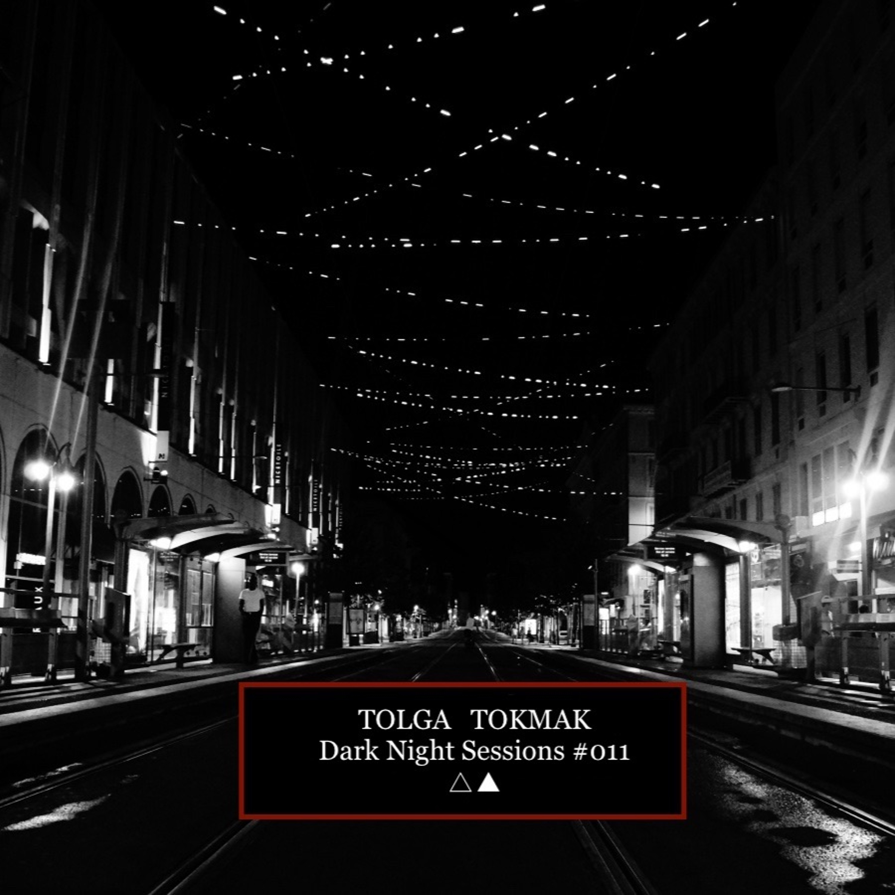 Tolga Tokmak