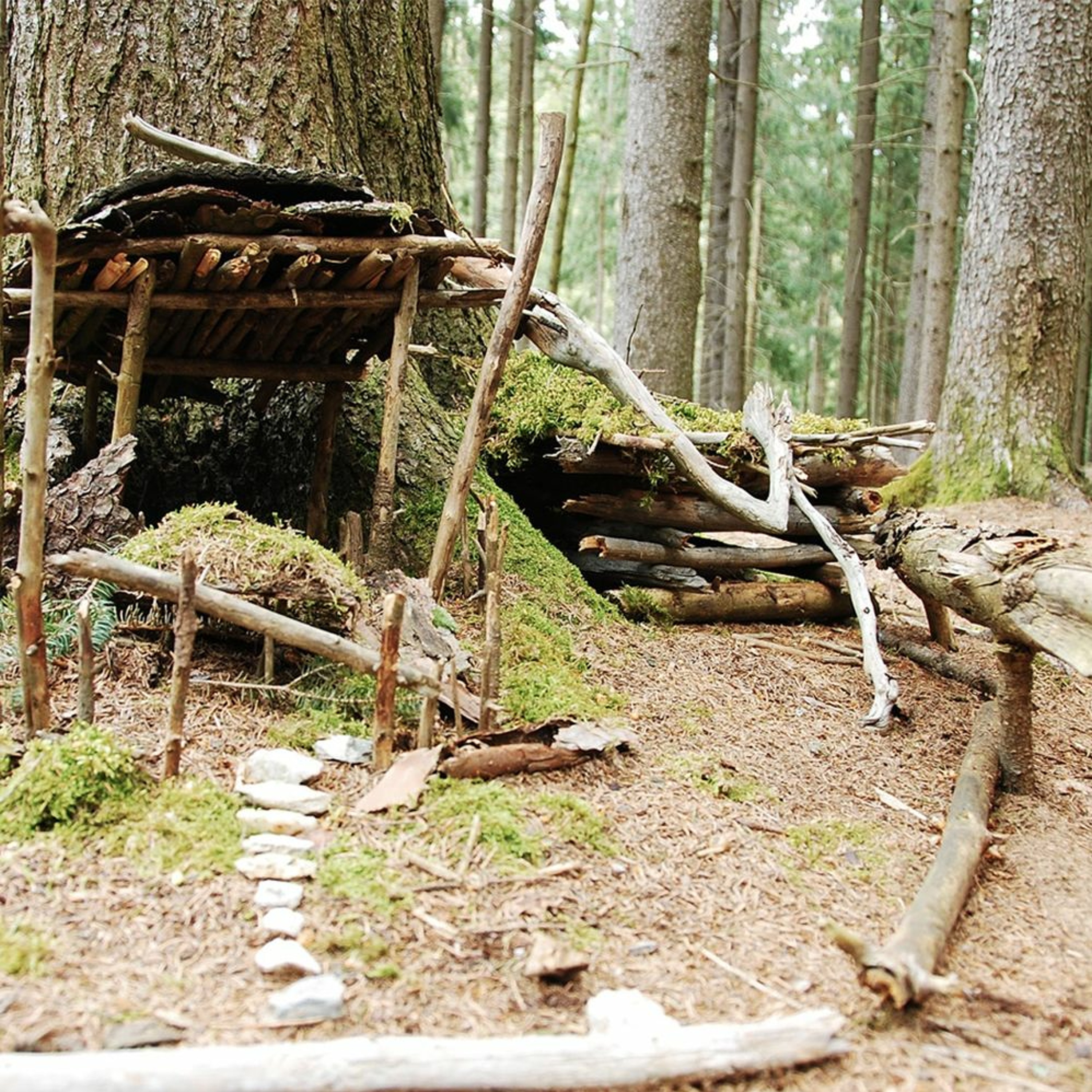 “The sticks.” by James Barrett Rodehaver