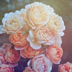 wrk in prog ( hi ramzoid)