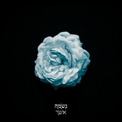 Soul Bliss (Feat.Alex Riso)(Prod.Freddie Joachim)(אושר נשמה)