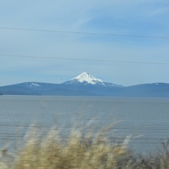 body on the shoreline