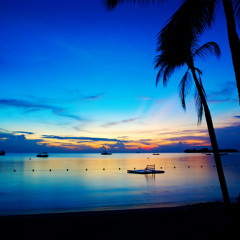 Don't Rock My Boat (BATPIK Remix)