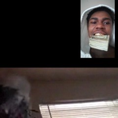 Shorty Alpo TAKIN FLIGHT 3