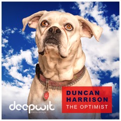 Duncan Harrison - The Optimist