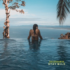 Daydreamin' - Stay Wild