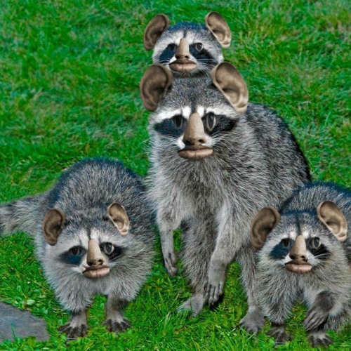 MC BORROW Aka Рэп - Движение ONE TUZ - Пожилое Торможение