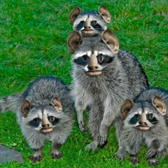 Глад Валакас - Тупа Рэп