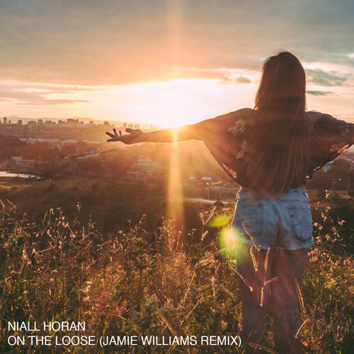 Niall Horan - On The Loose (Jamey Williams Remix)