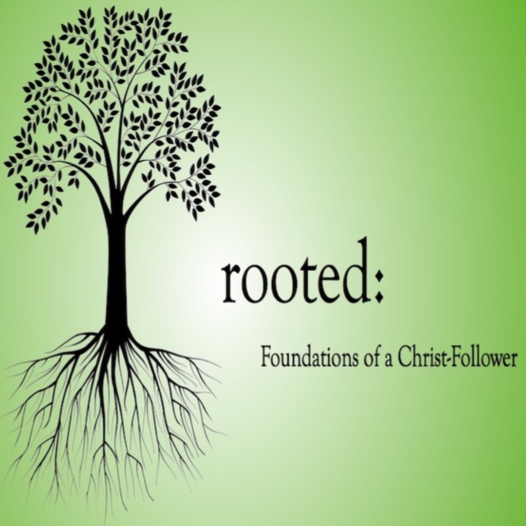 Stream Rooted: How Do I Follow Jesus? (Walking and Living with/in the ...