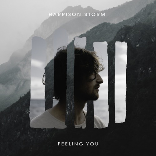 Harrison Storm - Feeling You