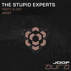 The Stupid Experts  - Night And Day (Original Mix)