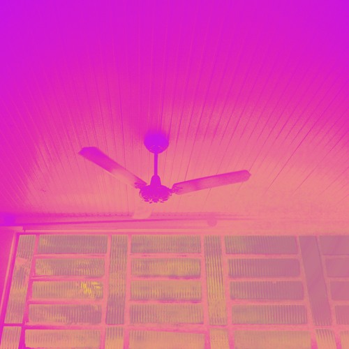 left to rot
