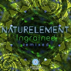 Naturelement - A Way To Find A Sunray (Bioscape Remix)