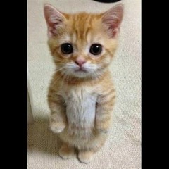 FNAF  Rap (1 - 4) By JT Music(Not by Me)