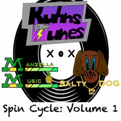 Spin Cycle: Volume 1