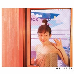 【YZML-17】MEiSTER XFD [M3-2018春：あ-09a,b]