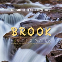 Flowing Water: Brook (Nature Sounds for Relaxation, Meditation, Healing & Sleep)