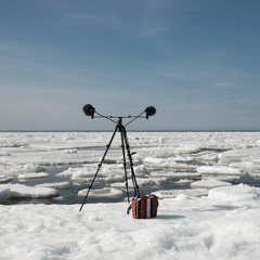 Pack Ice melting - 8/4/2018 - Loukkeennokka