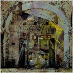 Muse