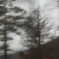 Ingenue Cover - Thom Yorke/Atoms for Peace