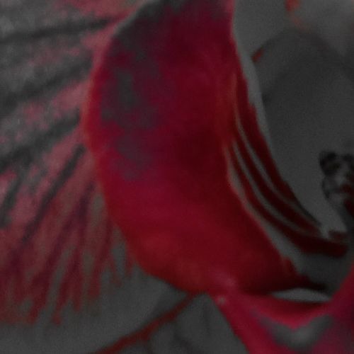 Emergence - by M.B.Stephens - read by megwaf #ReadMeSpeakMe