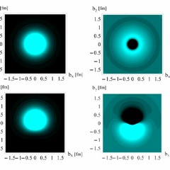 Anomalous Magnetic Dipole Moment