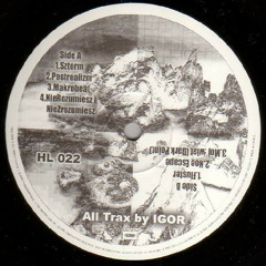 I:gor - Fluster