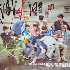 STRAY KIDS - DISTRICT 9 (V2 COVER)