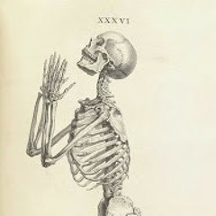 Downfall - KING SINCERE