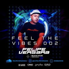 Feel The Vibes 002 - By Felipe Vergara