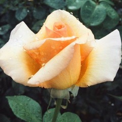 SPZRKT & Sango - Choppin Is The Motive