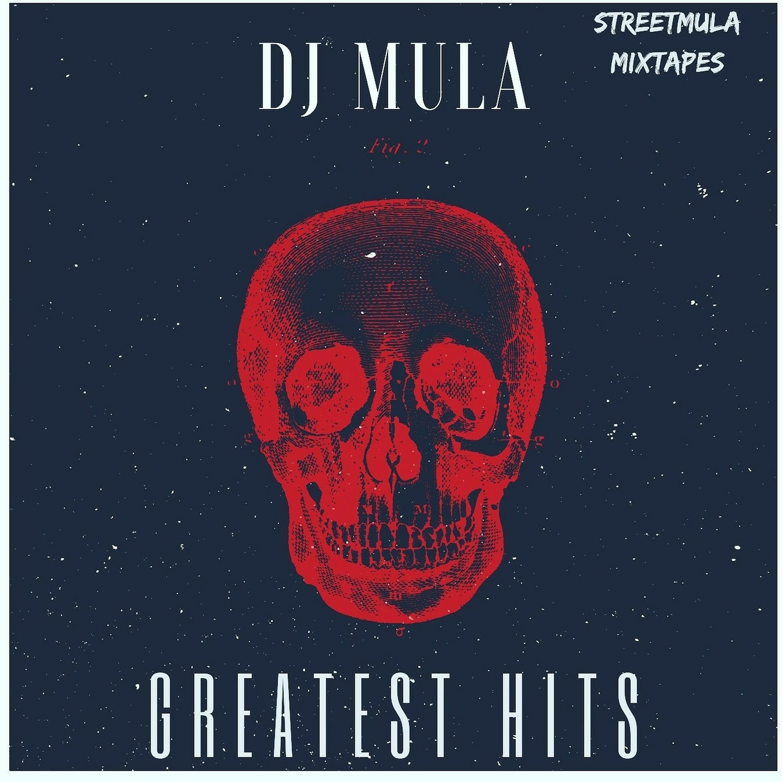 HOUSE -MULA episode artwork