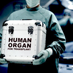 Organ Donor KCU Chip Edit