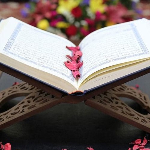سورة النساء الشيخ محمد يحيي الشرقاوى