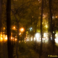 Forest Fairies Party Premix (old 2008 demo!)