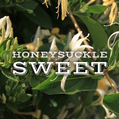 Honeysuckle Sweet (David Ennis/Shane Jackson)