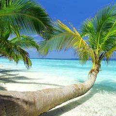 Jamaica Farewell Cover